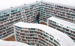 Специальность Филология - Access Education